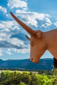 Forked Lightning Ranch tour - steer head on ranch house wall.