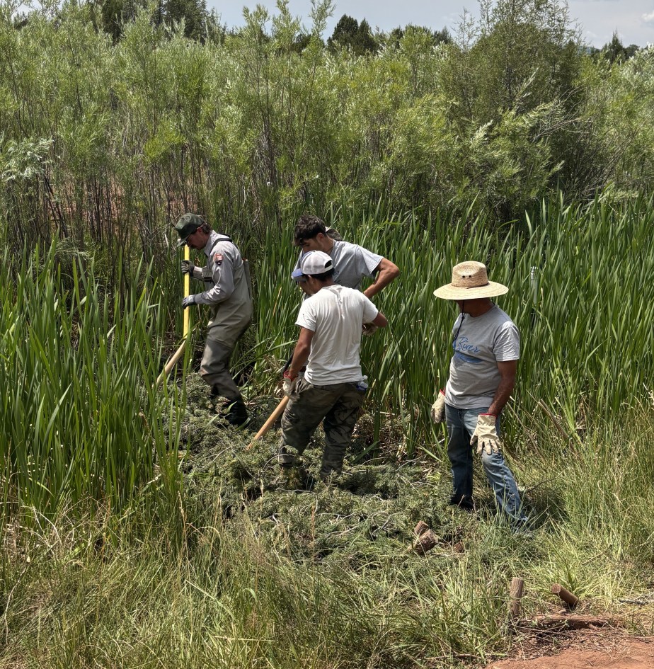 Repair and building of beaver dam analogues on Glorieta Creek at Pecos National Historical Park